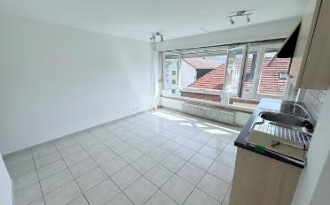 Wohnung 2.5 Zimmer - image - 4