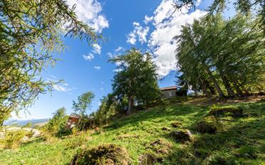 Chalet 8.5 pièces - image - 3