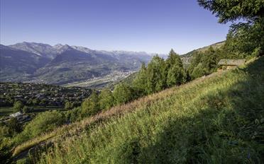 Bauland - image - 7