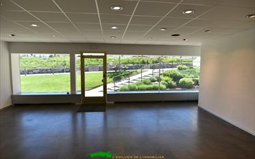 Shop - image - 16