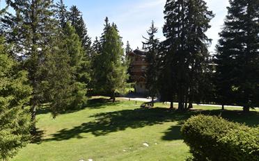 Wohnung - image - 6