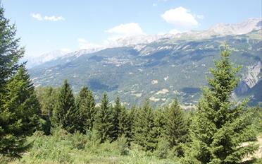 Chalet - image - 27