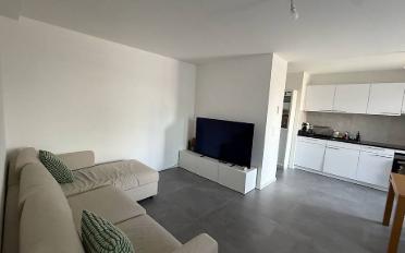 Wohnung 2.5 Zimmer - image - 1