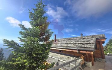 Chalet 10 rooms - image - 4