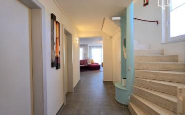 Maison contiguë 5.5 pièces - image - 2