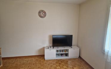 Wohnung ein Zimmer - image - 2