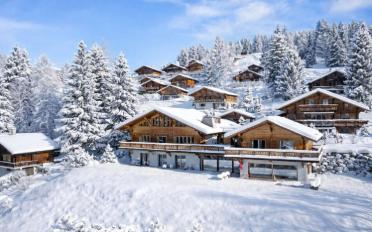 Chalet 10 pièces - image - 2