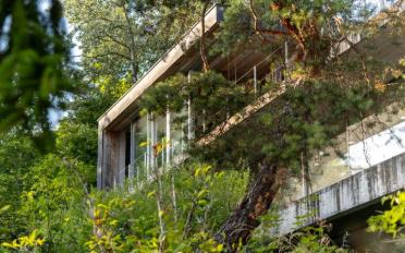 Villa 9 Zimmer - image - 1