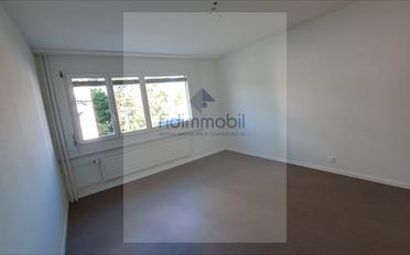 Wohnung 2 Zimmer - image - 4