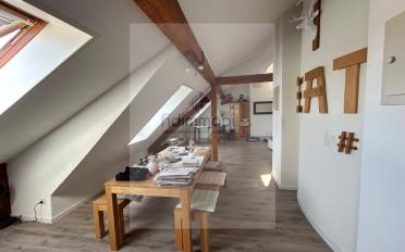Loft 1 pièce - image - 4