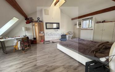 Loft 1 pièce - image - 3