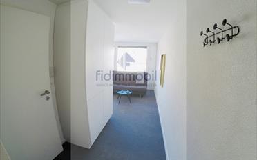Studio ein Zimmer - image - 4