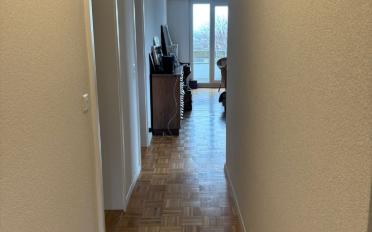 Dachwohnung 2.5 Zimmer - image - 8