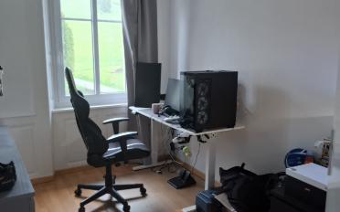 Apartment 4.5 rooms - image - 11