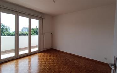 Apartment 2.5 rooms - image - 5