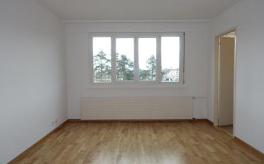 Studio 1.5 rooms - image - 2