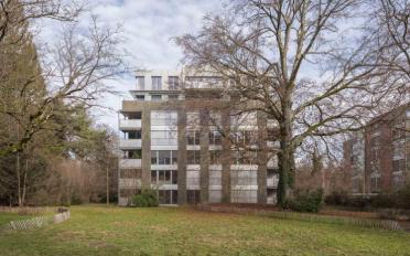 Wohnung 7 Zimmer - image - 10