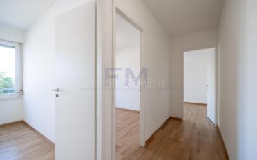 Wohnung 5 Zimmer - image - 3