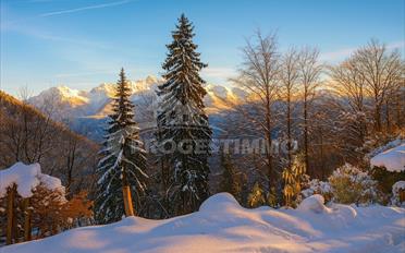 Chalet 4.5 Zimmer - image - 9