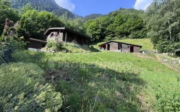 Chalet 3.5 Zimmer - image - 1