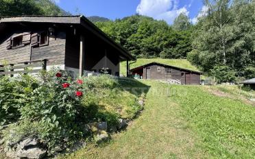 Chalet 3.5 Zimmer - image - 13