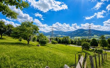 Building land - image - 4