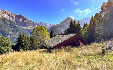 Chalet 7.5 rooms - image - 1