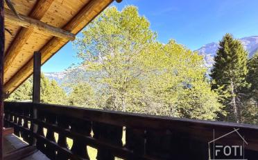Chalet 7.5 Zimmer - image - 7