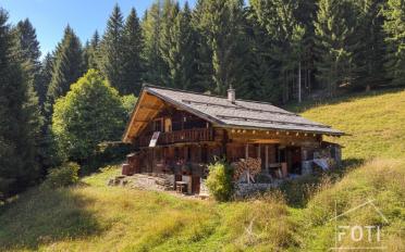 Chalet 7.5 Zimmer - image - 7