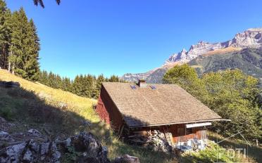 Chalet 7.5 Zimmer - image - 1