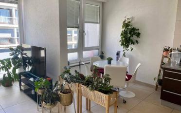 Appartement meublé 2.5 pièces - image - 1