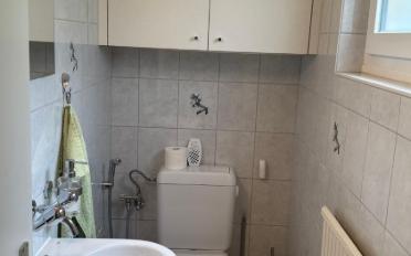 Doppeleinfamilienhaus 5 Zimmer - image - 10