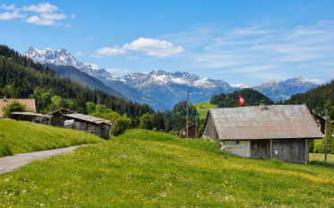 Building land - image - 1