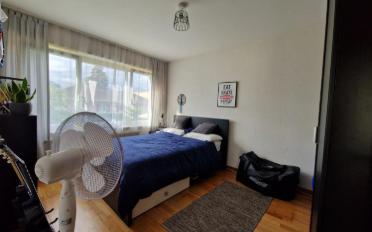 Einfamilienhaus 8 Zimmer - image - 9
