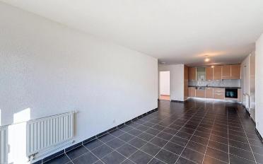 Wohnung 3.5 Zimmer - image - 3