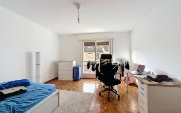 Apartment 2.5 rooms - image - 5