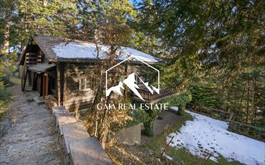 Chalet 7 Zimmer - image - 2