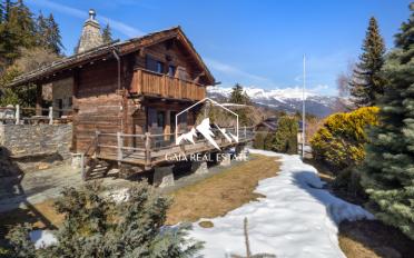 Chalet 4 Zimmer - image - 22