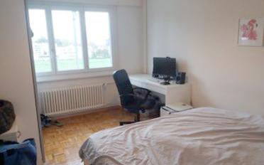 Wohnung 2 Zimmer - image - 6