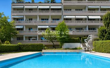 Furnished flat 1 room - image - 5