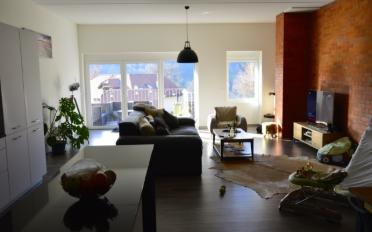 Loft 3.5 Zimmer - image - 3