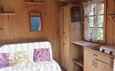 Agricultural land 1 room - image - 9