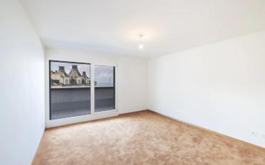 Attic flat 4.5 rooms - image - 7
