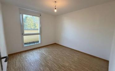 Wohnung 5.5 Zimmer - image - 3