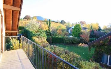 Einfamilienhaus - image - 4