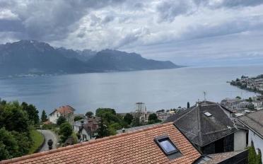 Mixed use property 10.5 rooms - image - 7