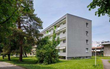 Wohnung 3 Zimmer - image - 2