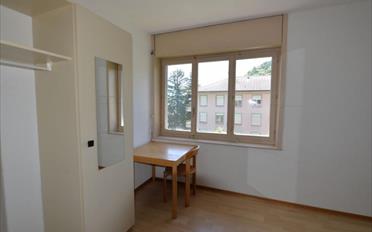 Wohnung ein Zimmer - image - 5