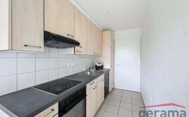 Appartement 2.5 pièces - image - 2