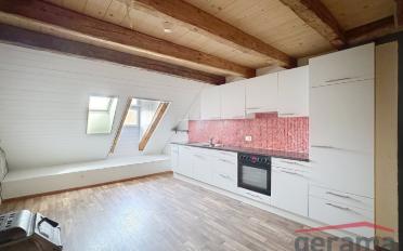 Appartement 4.5 pièces - image - 1